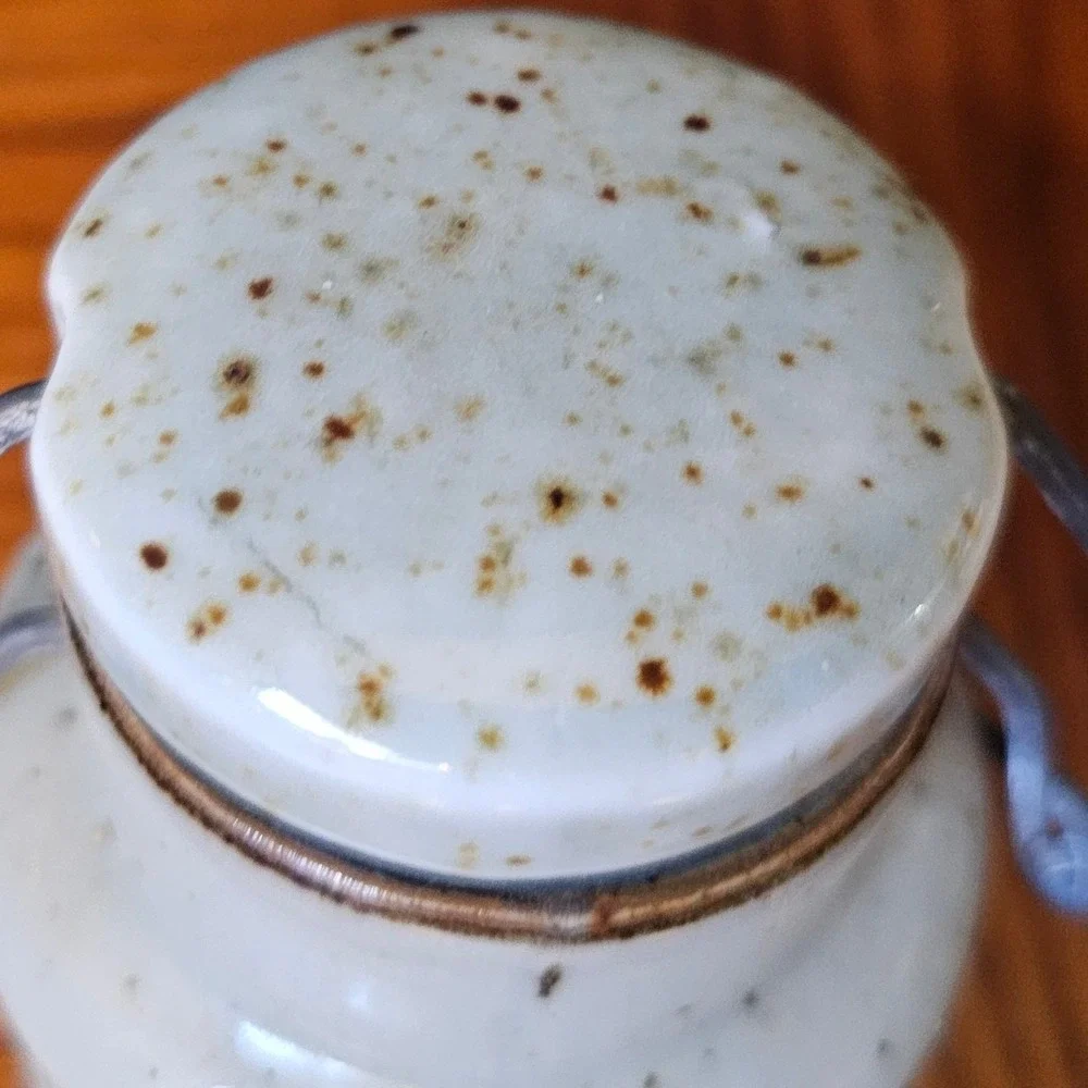Vintage Studio Pottery Bamboo Leaf Stoneware Canister Wire Bail Spice Jar